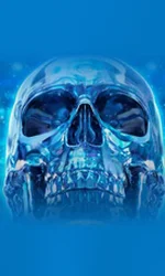 Crystal Skull