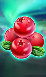 Winterberries