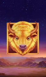 Buffalo's Sun 2