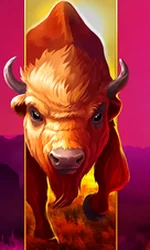 Big Wild Buffalo