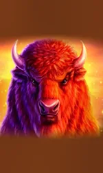 Buffalo 50